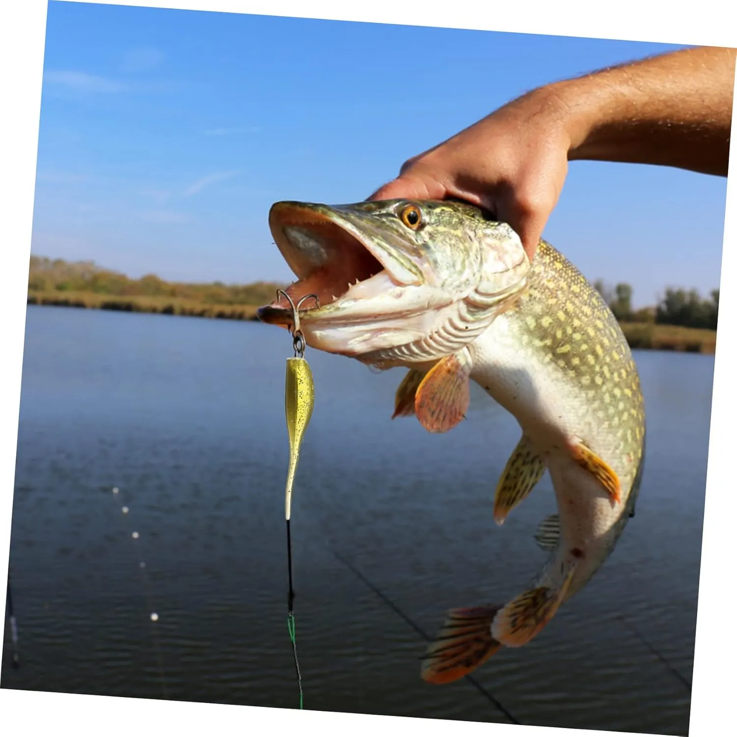 BESPORTBLE Kit De Pesca con Anzuelos De Cebo Blando Anzuelos para Tanque De Pesca Kit De Anzuelos Kits De Señuelos De Pesca Kits