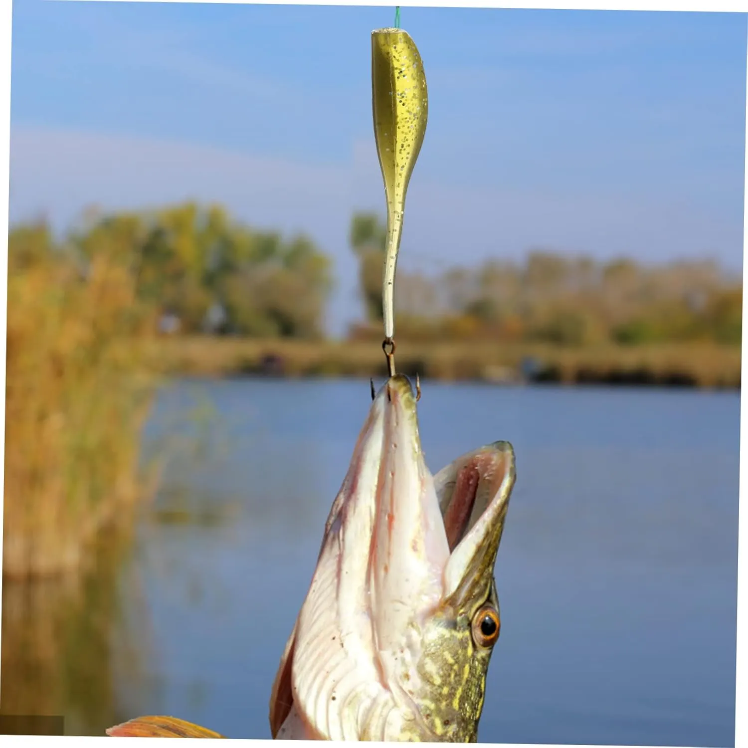 BESPORTBLE Kit De Pesca con Anzuelos De Cebo Blando Anzuelos para Tanque De Pesca Kit De Anzuelos Kits De Señuelos De Pesca Kits