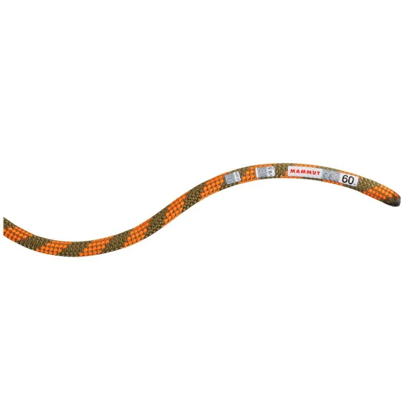 Cuerda simple Mammut Cuerda seca de 9,5 nudos (Boa Safety)