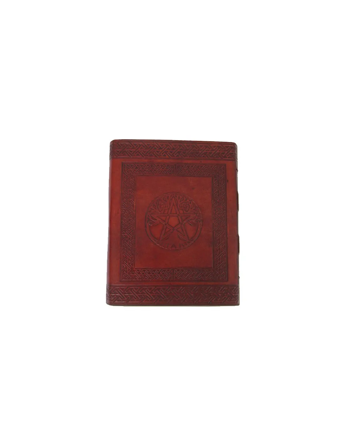 Diario Pentagrama 25x20 cm.