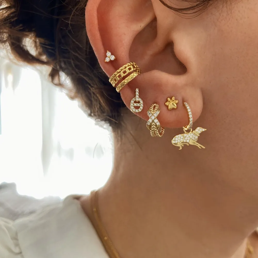 Pendientes Cane Oro (PAR)