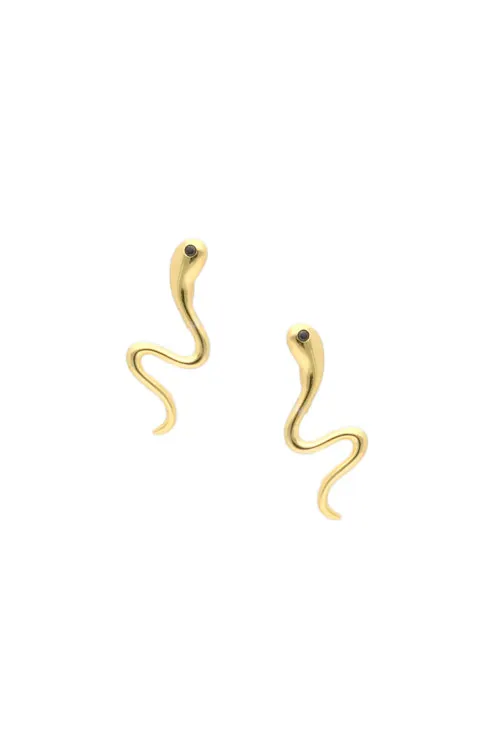 PENDIENTES PLATA CHAPADA ESPERMATOZOIDE 240_1PPRTE028HC