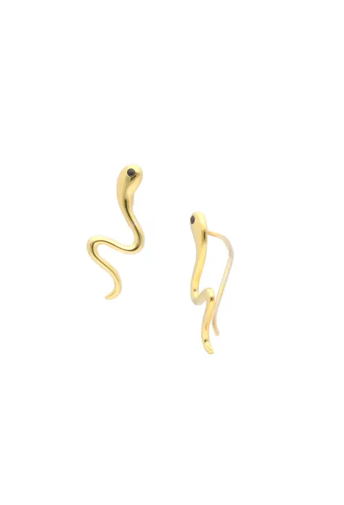 PENDIENTES PLATA CHAPADA ESPERMATOZOIDE 240_1PPRTE028HC