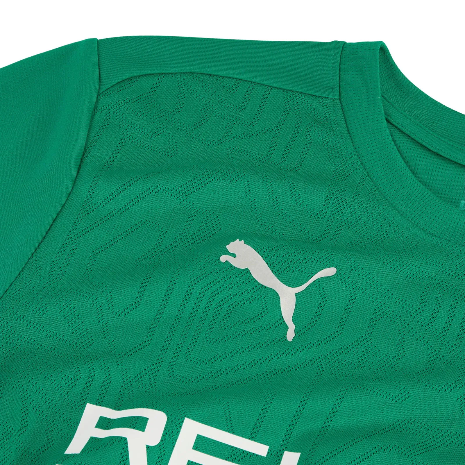 Puma BMG Training Jersey Green 2024/25