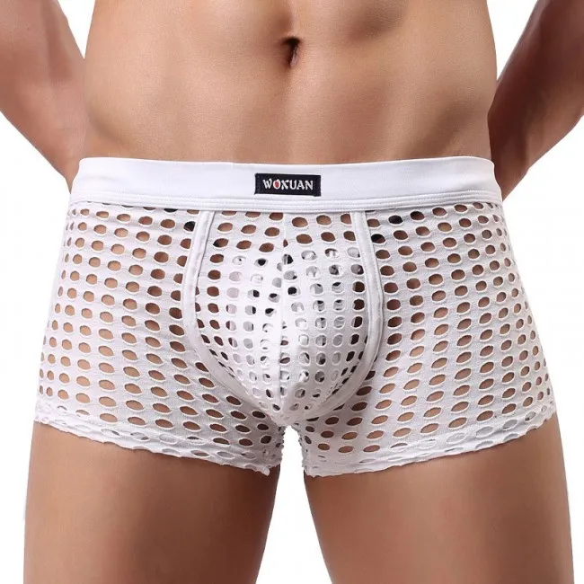 Sexy Hollow Net Underwear Breathable Mesh Boxer Briefs Fishnet Trunks Men's Lingerie