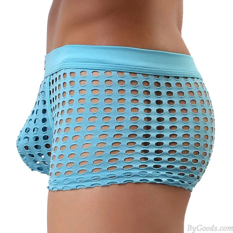 Sexy Hollow Net Underwear Breathable Mesh Boxer Briefs Fishnet Trunks Men's Lingerie