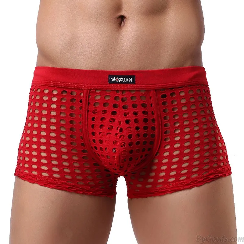 Sexy Hollow Net Underwear Breathable Mesh Boxer Briefs Fishnet Trunks Men's Lingerie