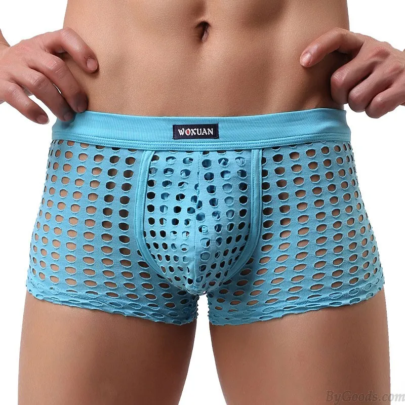 Sexy Hollow Net Underwear Breathable Mesh Boxer Briefs Fishnet Trunks Men's Lingerie