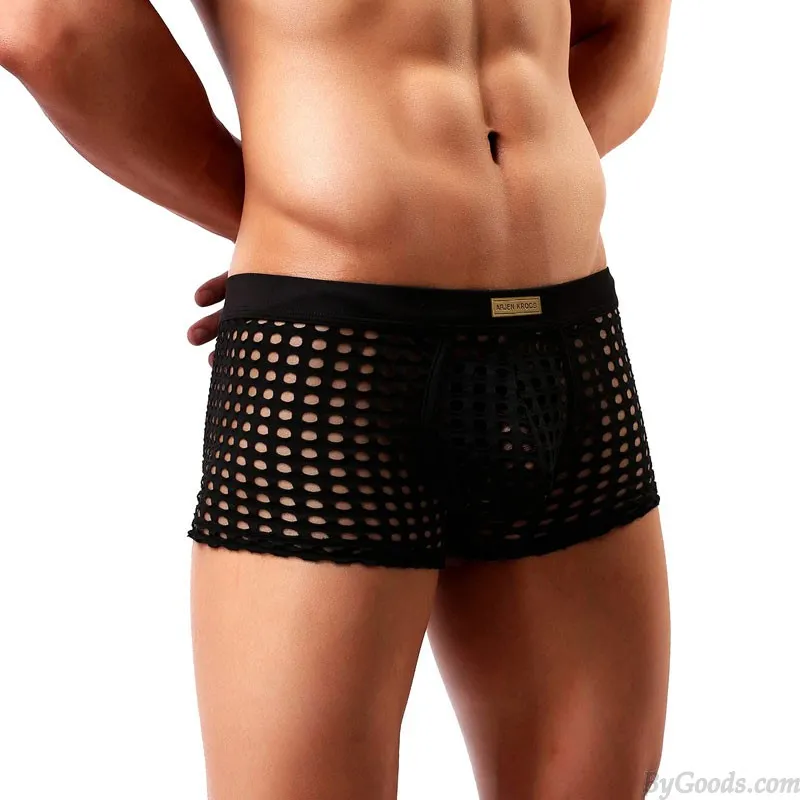 Sexy Hollow Net Underwear Breathable Mesh Boxer Briefs Fishnet Trunks Men's Lingerie