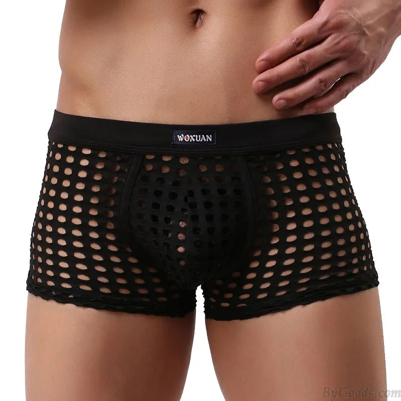Sexy Hollow Net Underwear Breathable Mesh Boxer Briefs Fishnet Trunks Men's Lingerie
