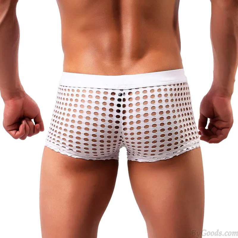 Sexy Hollow Net Underwear Breathable Mesh Boxer Briefs Fishnet Trunks Men's Lingerie
