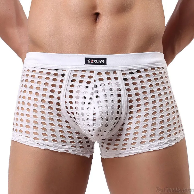 Sexy Hollow Net Underwear Breathable Mesh Boxer Briefs Fishnet Trunks Men's Lingerie