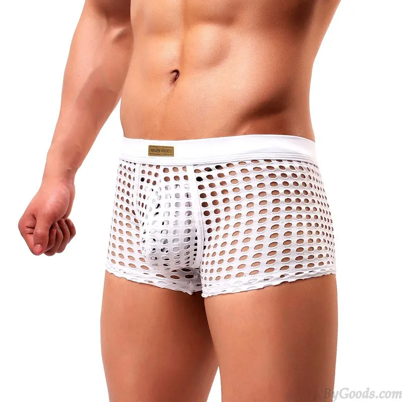 Sexy Hollow Net Underwear Breathable Mesh Boxer Briefs Fishnet Trunks Men's Lingerie