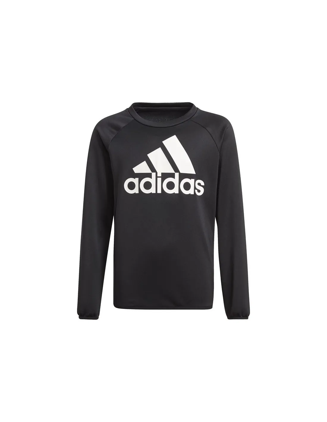 Sudadera de training adidas Designed To Move Big Logo