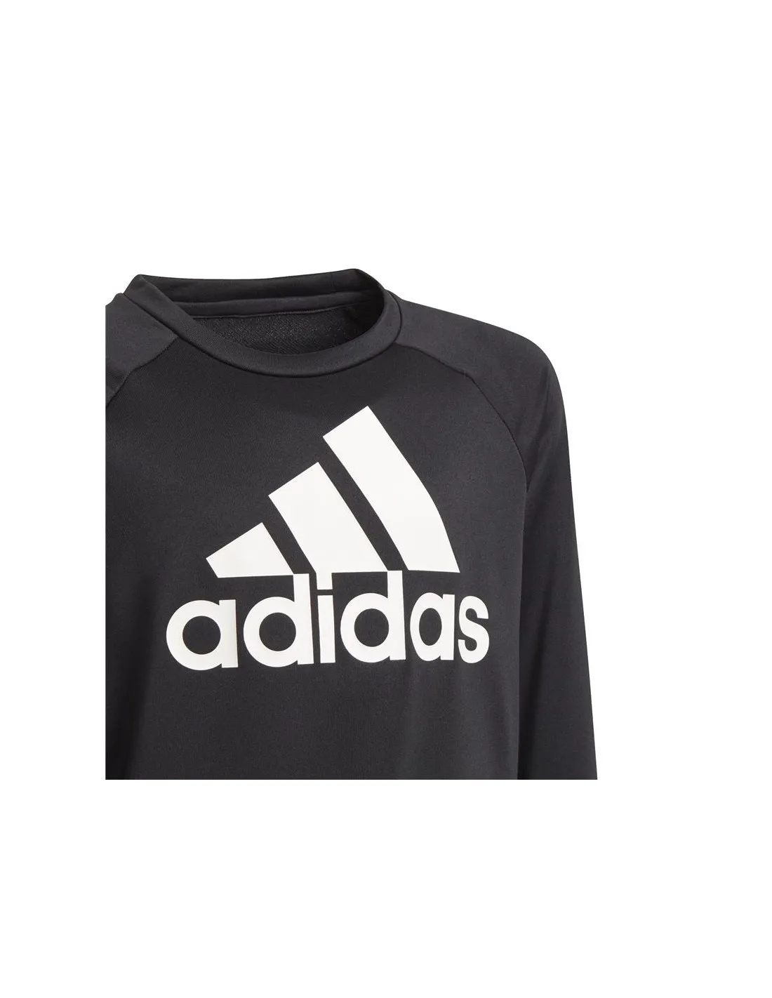 Sudadera de training adidas Designed To Move Big Logo