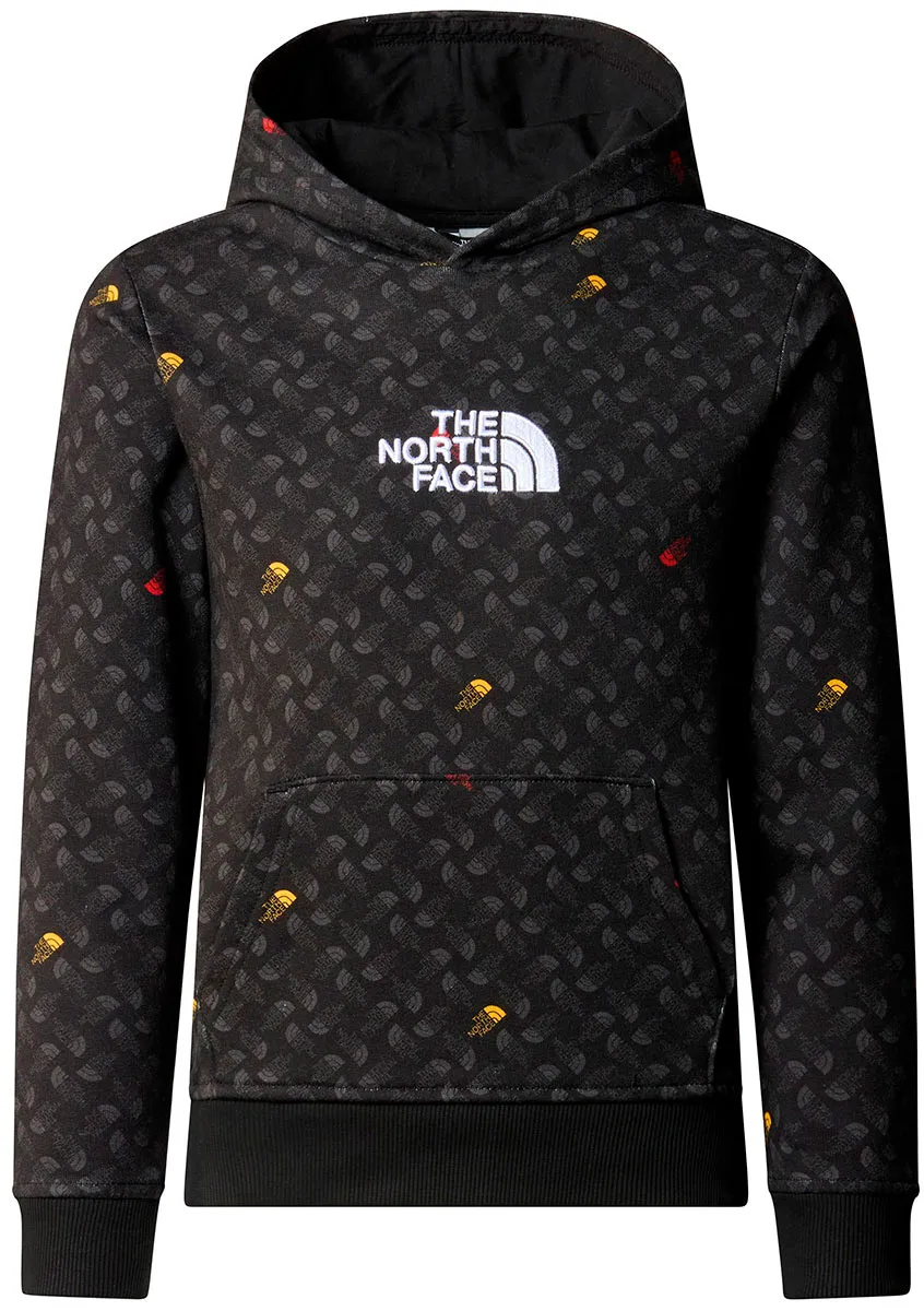 Sudadera the north face Drew Peak Light P/O Hoodie Boy