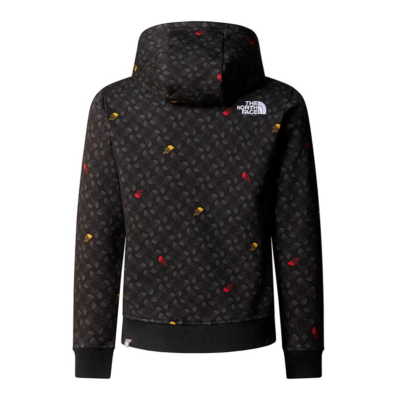 Sudadera the north face Drew Peak Light P/O Hoodie Boy