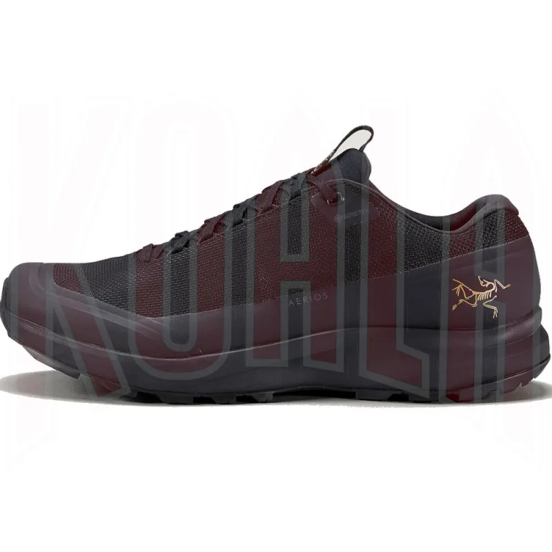 Zapato de montaña AERIOS Gtx hombre Arc'teryx